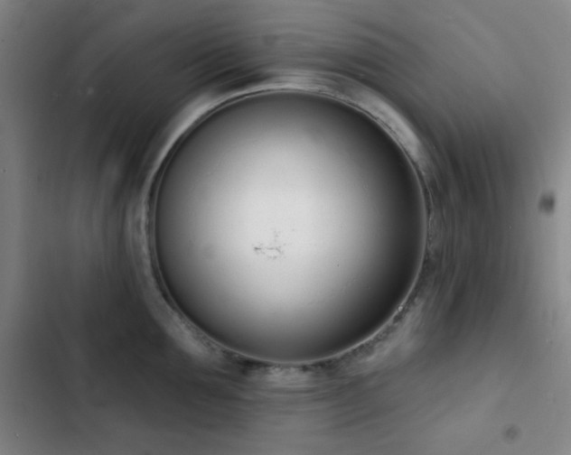 X0000103300907200808291402