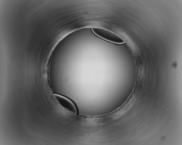 X0000103300908200808291402