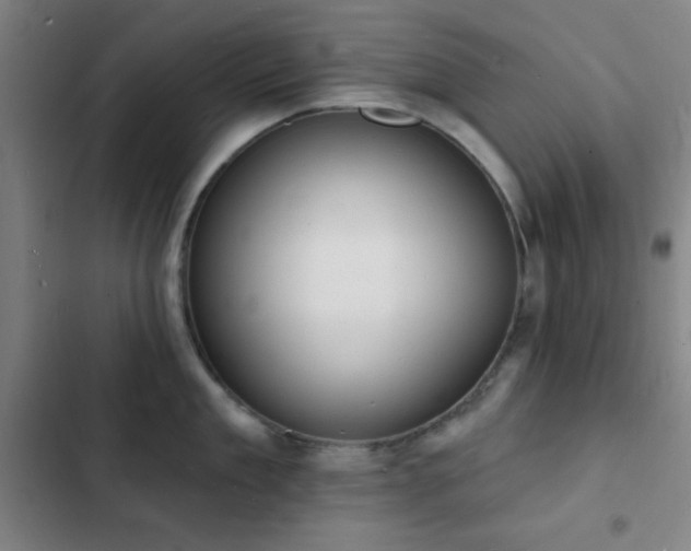 X0000103300909200808291402