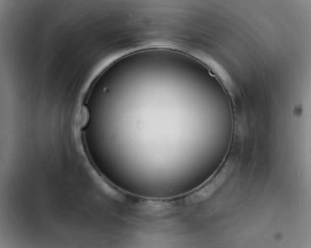 X0000103300910200808291402