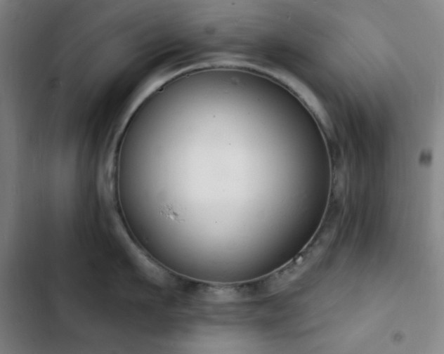 X0000103300911200808291402