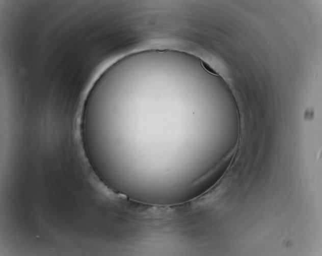 X0000103300912200808291402