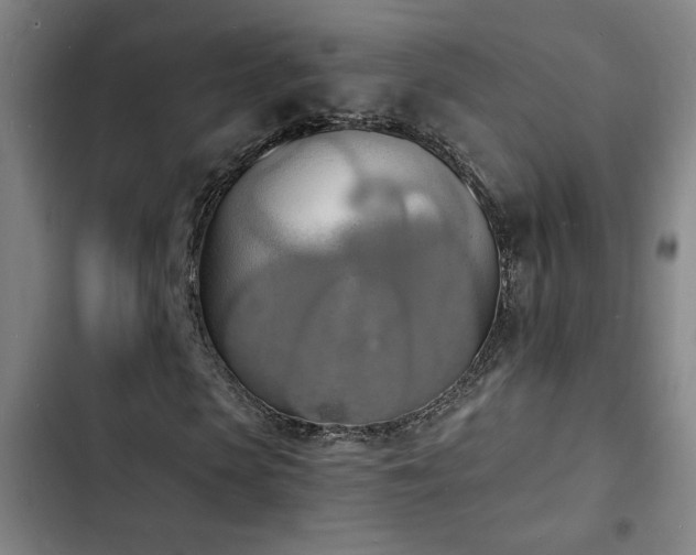 X0000103300913200808291401