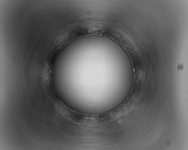 X0000103300914200808291401