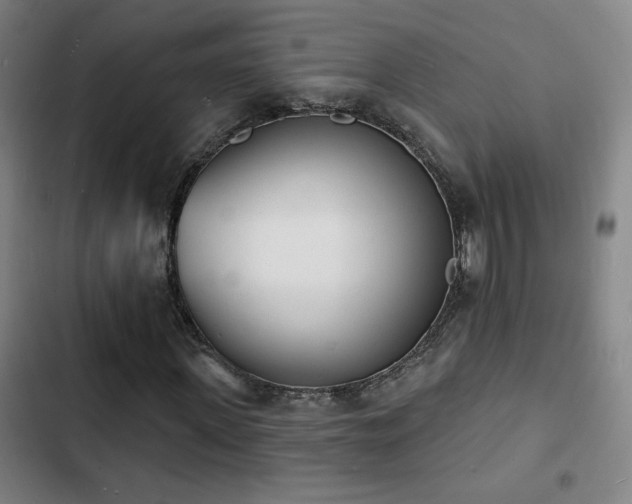 X0000103300915200808291401