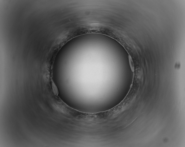 X0000103300916200808291401