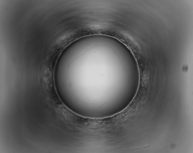 X0000103300917200808291401