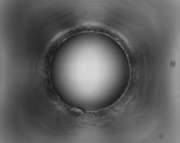 X0000103300919200808291401