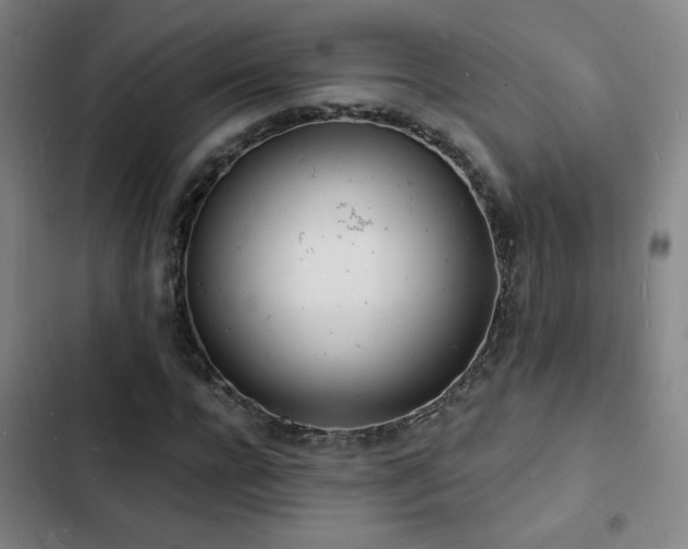 X0000103300920200808291401