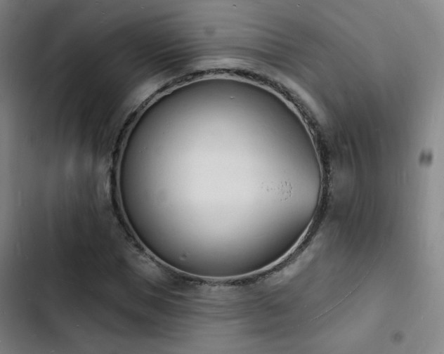X0000103300921200808291401