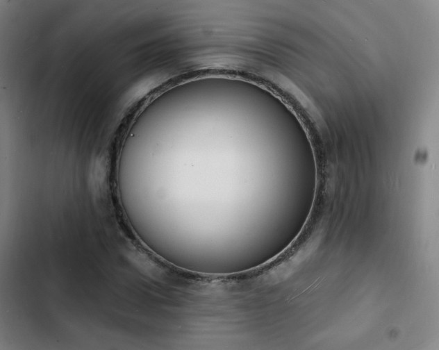X0000103300922200808291401