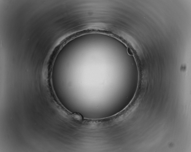X0000103300923200808291401