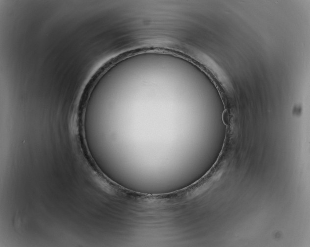 X0000103300924200808291401