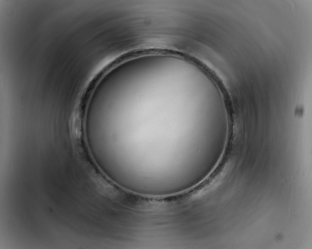 X0000103300925200808291402