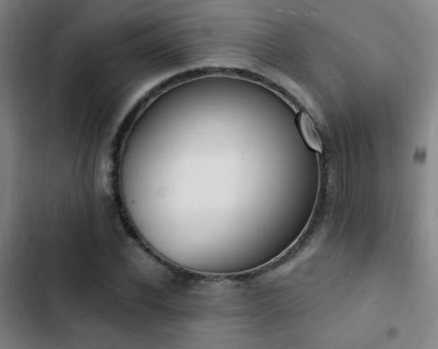 X0000103300926200808291402