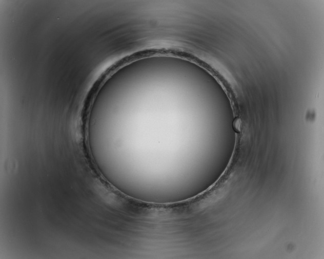 X0000103300927200808291402