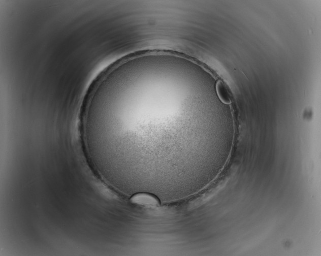 X0000103300928200808291402