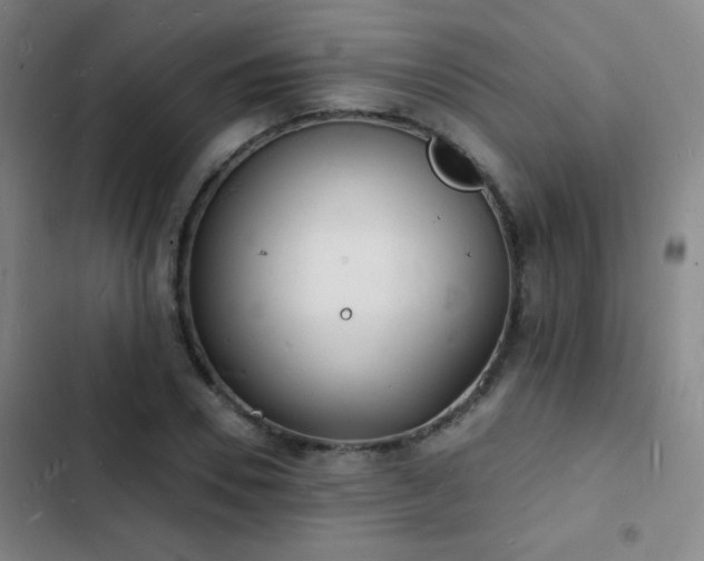 X0000103300930200808291402