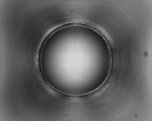X0000103300932200808291402