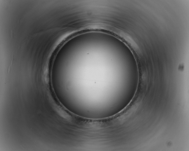 X0000103300934200808291402