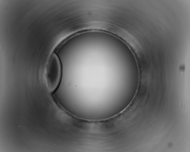 X0000103300936200808291402