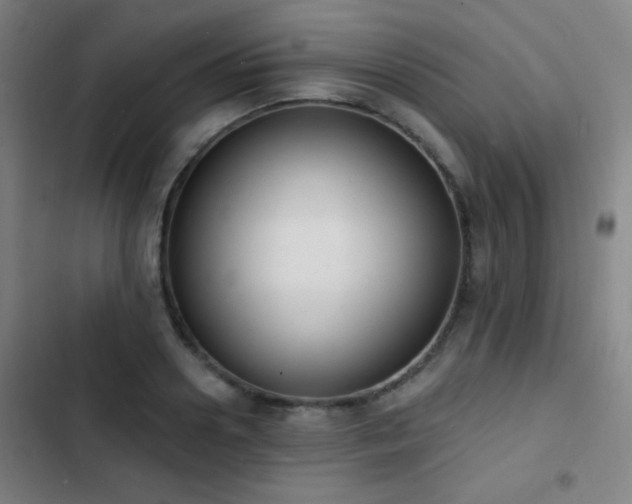 X0000103300938200808291402
