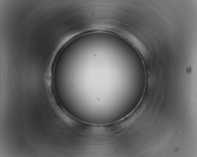 X0000103300940200808291402