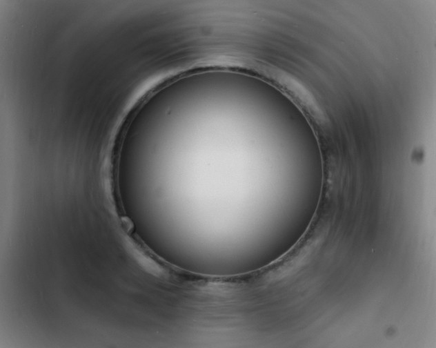 X0000103300942200808291402