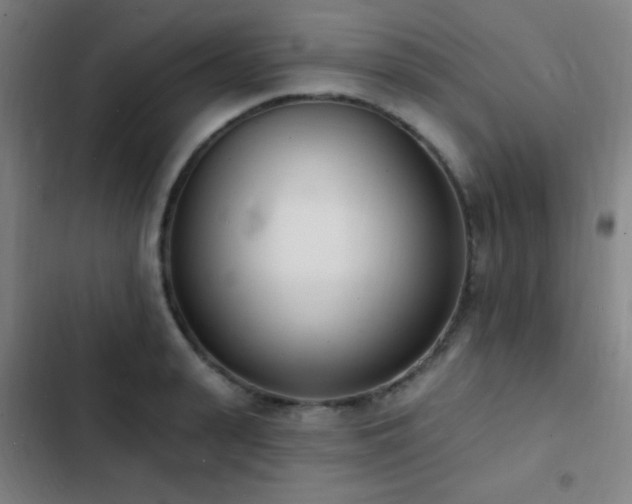 X0000103300943200808291402