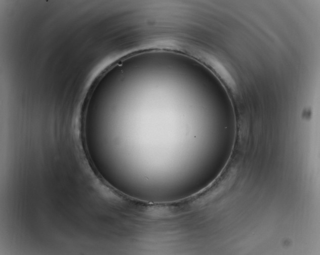 X0000103300944200808291402