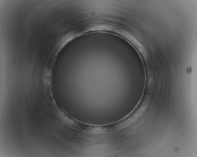 X0000103300945200808291402