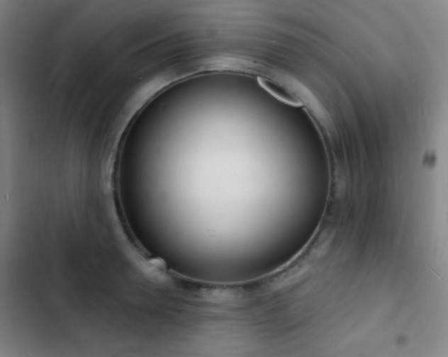 X0000103300946200808291402