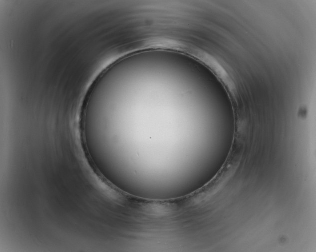 X0000103300947200808291402