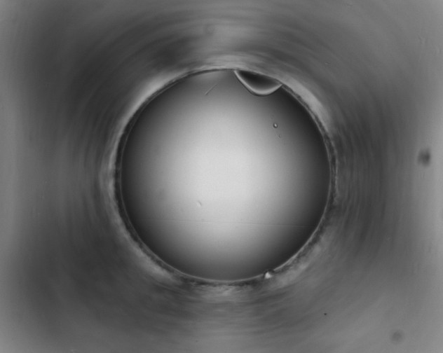 X0000103300949200808291402