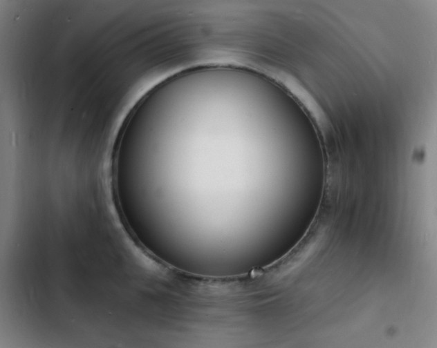 X0000103300951200808291402