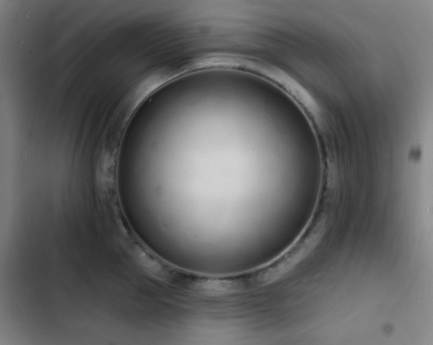 X0000103300953200808291402