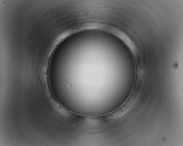 X0000103300954200808291402