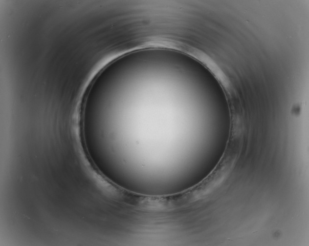 X0000103300955200808291402
