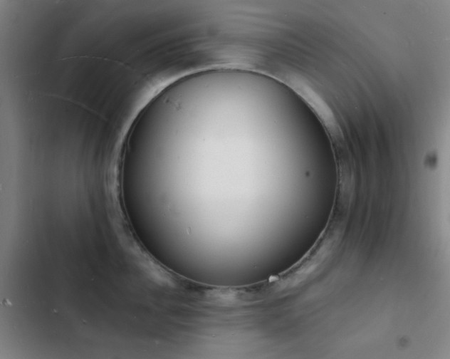 X0000103300956200808291402