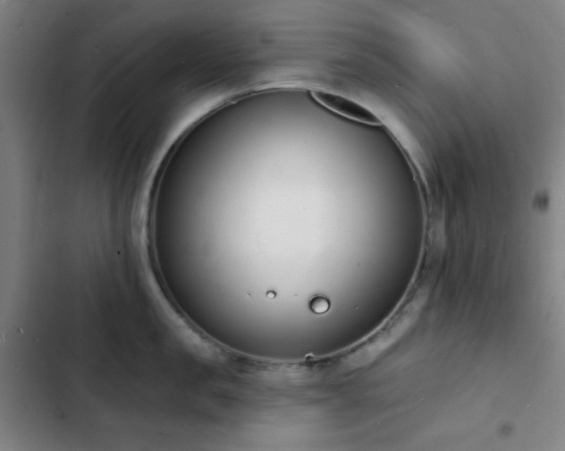 X0000103300957200808291402