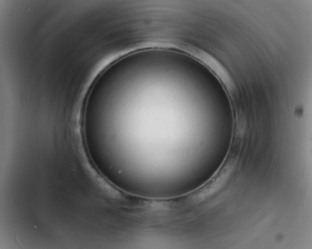 X0000103300958200808291402