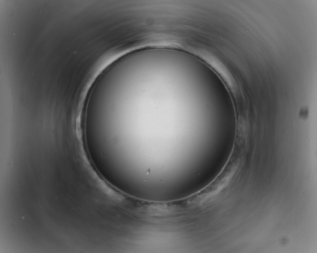 X0000103300959200808291402