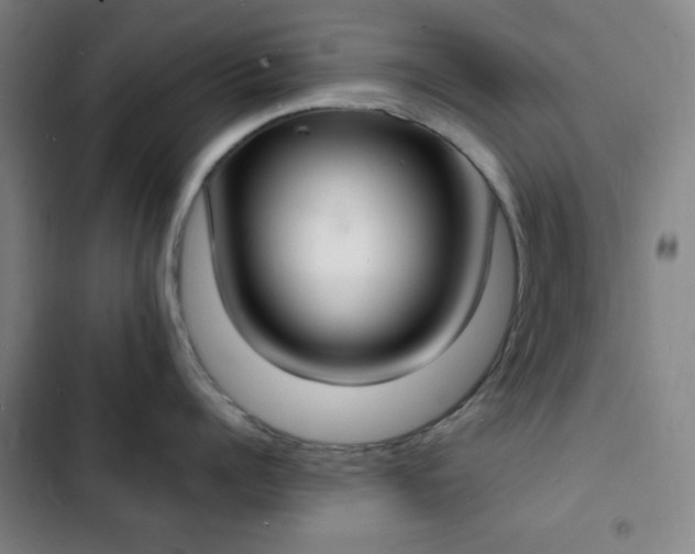X0000103300960200808291402