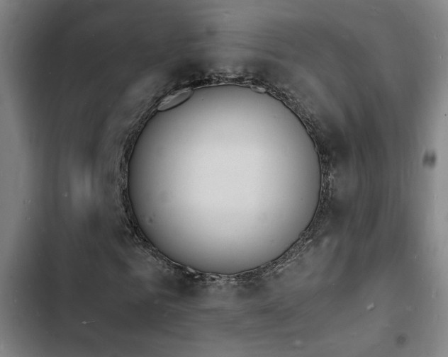 X0000103300961200808291401
