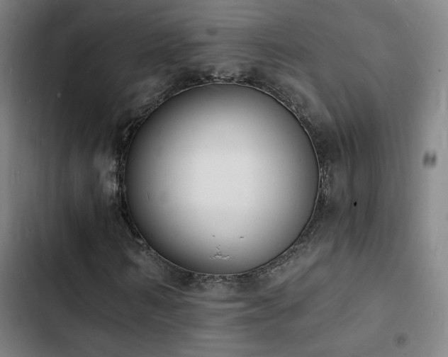 X0000103300962200808291401