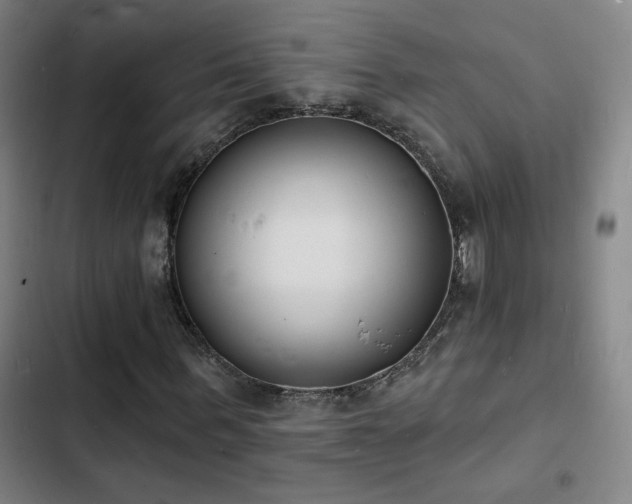X0000103300963200808291401