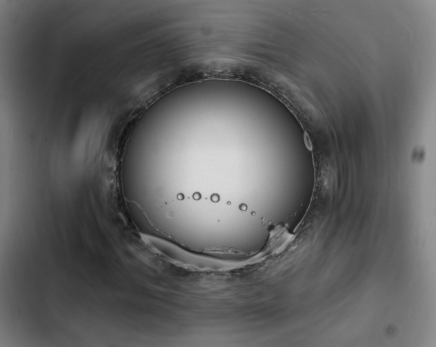 X0000103300964200808291401