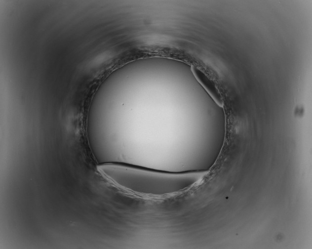 X0000103300965200808291401