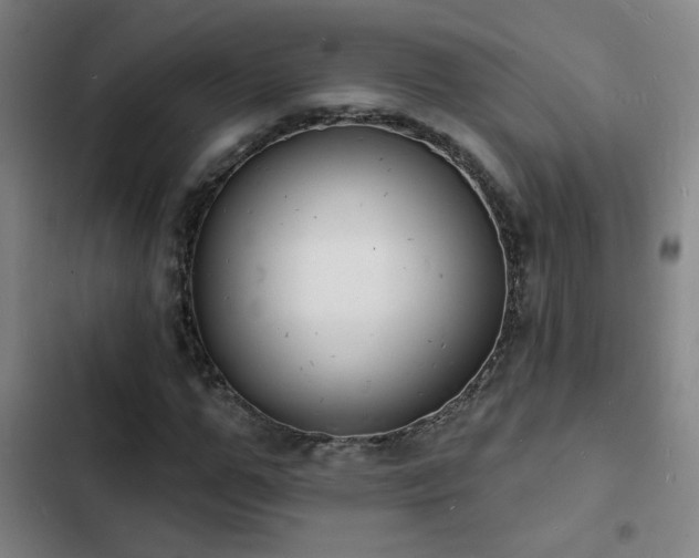 X0000103300967200808291401