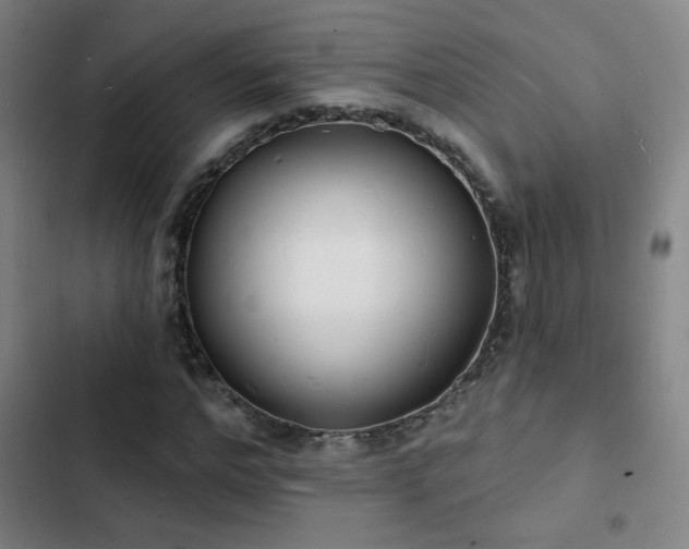 X0000103300968200808291401